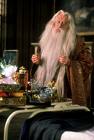 EL ANTIGUO DUMBLEDORE!!!