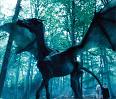 THESTRALS